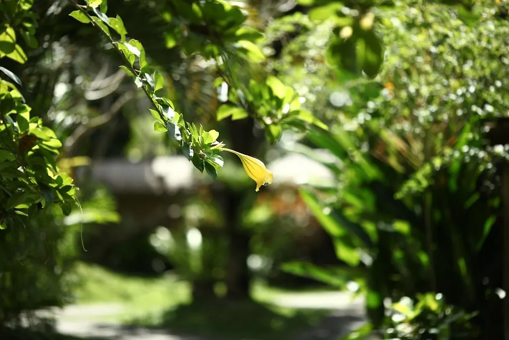 Bali Agung Village - Chse Certified Seminyak Endonezya