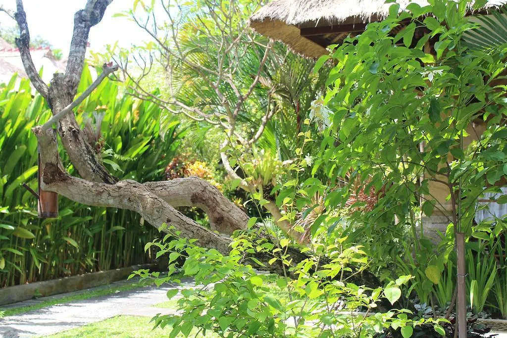 Bali Agung Village - Chse Certified Seminyak